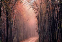 天涯娱乐圈爆料神贴：一贴勾起十个热搜，原来星味儿都是这么放出的！