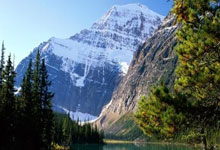 天涯社区神贴，那些在网络上疯传的神奇故事！